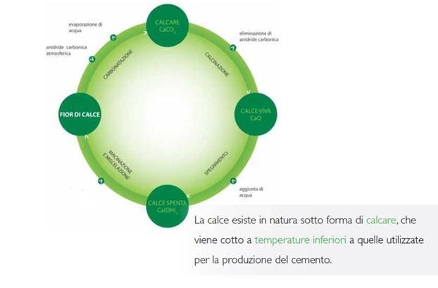 ciclo di vita della calce